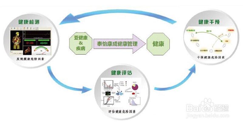 如何选择适合的健康评估服务？